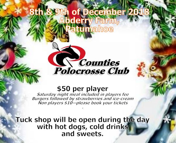 image for Counties Polocrosse Carnival